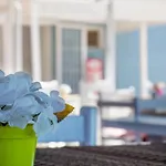 Minerva Port Hotel