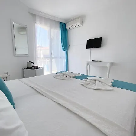 فندق Minerva Port 3*